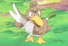 farfetch'd.JPG (79270 bytes)