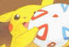 pikaegg.JPG (52995 bytes)